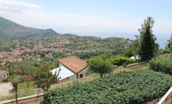 Casa Paloma Ospitalità Diffusa