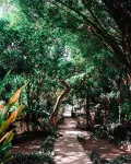 Oasis Balili Heritage Lodge Hotels in Tagbilaran