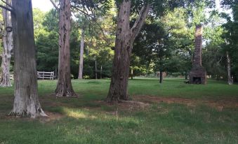 a grassy field with several trees and a fire pit in the background , creating a warm and inviting atmosphere at Concord Inn