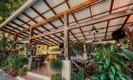 Tropical Beach - Housity