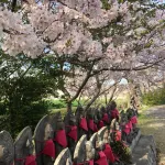 Ushizu Koshiropo Park Has an Adjacent Swing and sl Hotel di Taku