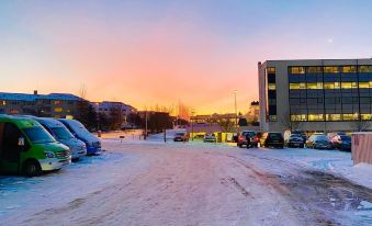 Bus Hostel Reykjavik - Reykjavik Terminal