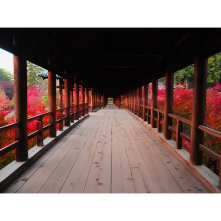 Machiya Kaemon Kyoto-Sta.