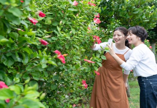 3. 프린스 스마트 ..