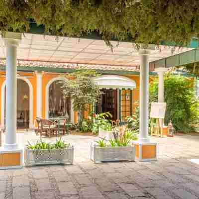 Locanda Della Mimosa Hotel Exterior