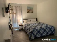 Central Bellevue House