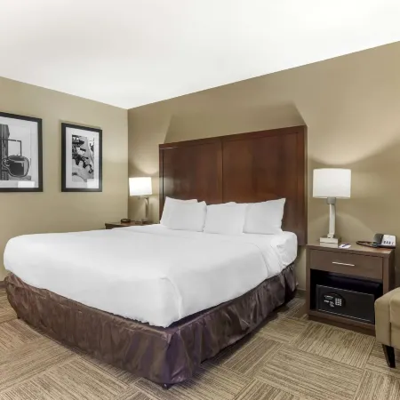 Comfort Inn & Suites Sea-Tac Airport
