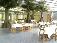 Hotel El Bambu - Pet friendly