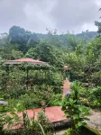 Limboo Homestay