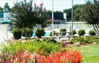 Masters Inn I-26 Hotels in Cayce