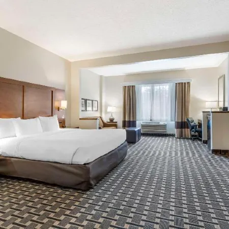 Comfort Inn Summerville - Charleston
