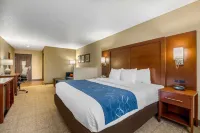 Comfort Suites - Uima-altaat