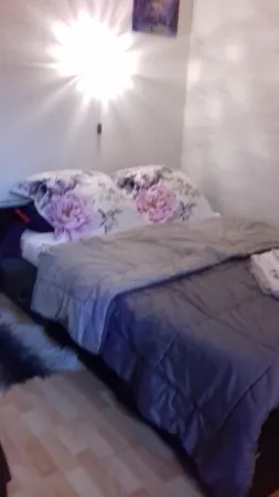 On the Wine Route Studio between Strasbourg and Colmar