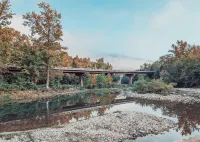 Elk View Cabin in Boxley Valley - 5 min to the Buffalo River!