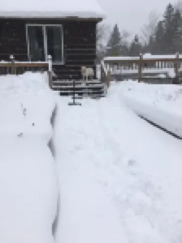 Cozy Welcoming Laughing Whitefish River Cabin Ready For Your Visit