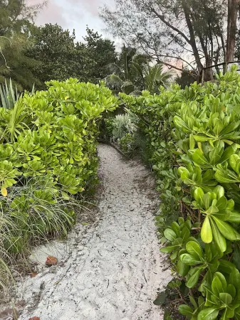 GREAT LOCATION! Peaceful & Tropical Condo Steps to Beautiful Holmes Beach, AMI!