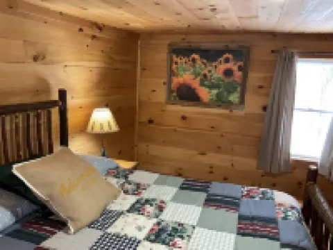 Skiers & Winter Outdoor Adventurers! Cozy Cabin on 5 Acres on Ausable River Hotels in Keene