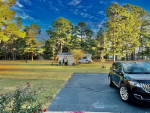 We Love Short & Long Term