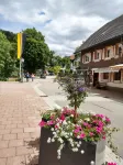 Ferienwohnung Waldblick