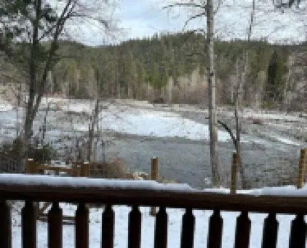 Cozy Log Cabin with private access to the Trinity River!