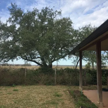 No Security Deposit on Hill Country Ranch Hideaway minutes from San Antonio