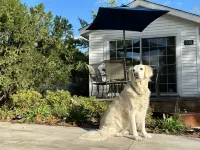 Dog-Friendly Beach Cottages within a mile of town and 7 Lake Michigan beaches