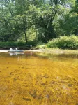 Cozy 4 season waterfront cottage in the white mountains on the bearcamp river!