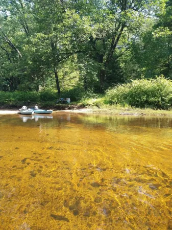 Cozy 4 season waterfront cottage in the white mountains on the bearcamp river!