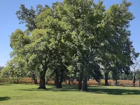 5 Star Style and Review, Historical Sears Catalog home with LOTS of room Hotels in Dover