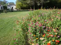 Gite in Petite Camargue for2persons on the banks of the Petit Rhône
