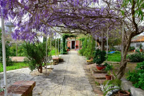 WONDERFUL FARMHOUSE " IL CASALE DEL GELSO" NEAR ROME AND THE SEA.