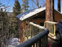 Peaceful Cozy Cabin Amongst the Trees with View of Lake Arrowhead
