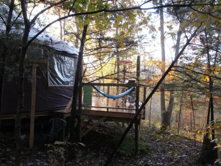 Yurt Floating in the Forest
