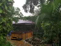 Tiki Hut in tropical paradise Hotels near Caladesi Island State Park