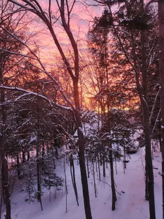 Birch Suite at Colden Lodge A Cozy Private 1Br Suite With Hot Tub on Lake Flower Отели в г. Саранак Лейк