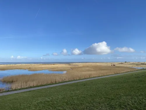 Urlaub am Wattenmeer, Wohnung Kajüte
