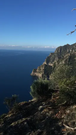 Casa con Vista Alle Porte del Parco di Portofino Codice Citra 010007-lt-0347