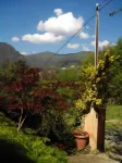 In the Final Hills, ideal for bikers and climbers. Paradise 20 min. from the sea. Отели в г. Риальто