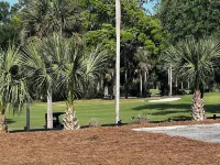 2nd Row Ocean Views 4Br 3ba Sleeps 12, '26 Pool Amenity Card, Linens Included - Gym
