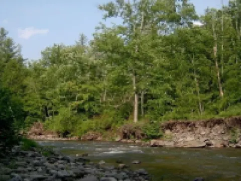 The Cabin at Chichester in the Catskills Mountains