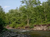 The Cabin at Chichester in the Catskills Mountains