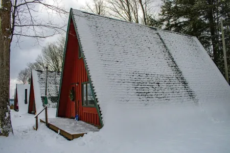 Cozy 3-bedroom cabin near beautiful Harbor Springs Отели рядом с достопримечательностью «Заказник Менонаква Вудс»