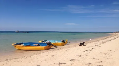 Wisteria Cottage - opposite beach