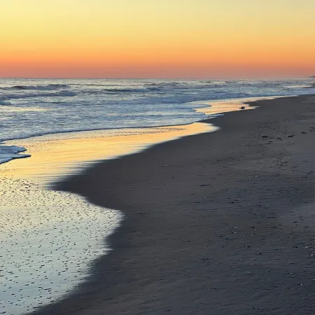 Stylish, and Relaxing in a Charming Neighbourhood with a Secluded Local Beach.