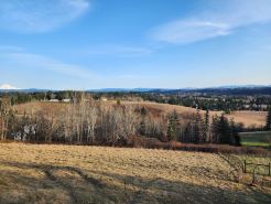 Springdale Farm & Views - the Gorge, Downtown, Mt. Hood