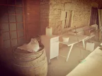 Grand Gîte Maison en Pierre de Taille, Bucolique & Ouverte sur Domaine Viticole