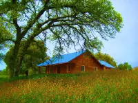 Trabucco Trails - Stargaze near Yosemite