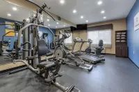 Comfort Suites Terre Haute University Area - Fitnessstudio