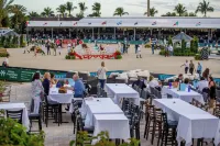 Oasis in the heart of Equestrian country