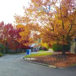 COMFY-COZY, Quiet, EV car CHARGER, GARAGE, Recliner